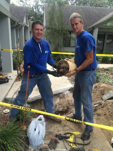 Two of our crew with a section we removed, packed solid with roots