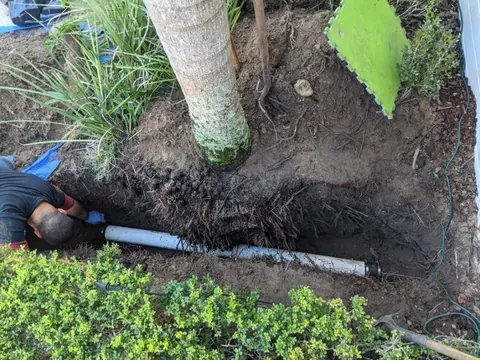 A Choice Plumbing technician digging only along the damaged section, right next to a palm