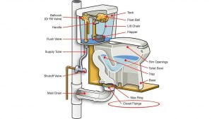 Complete Toilet Parts Chart