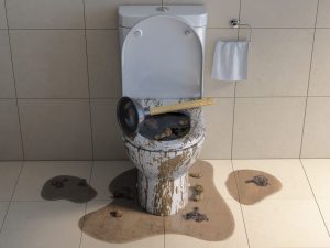 clogged toilet