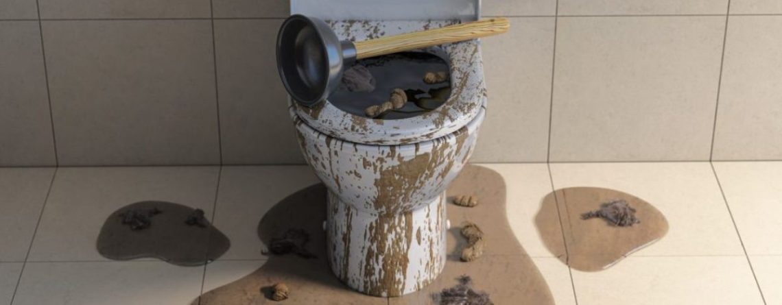 Clogged Toilet Fix