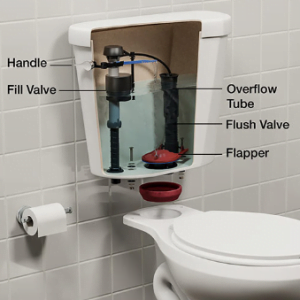 Toilet Water Tank Chart